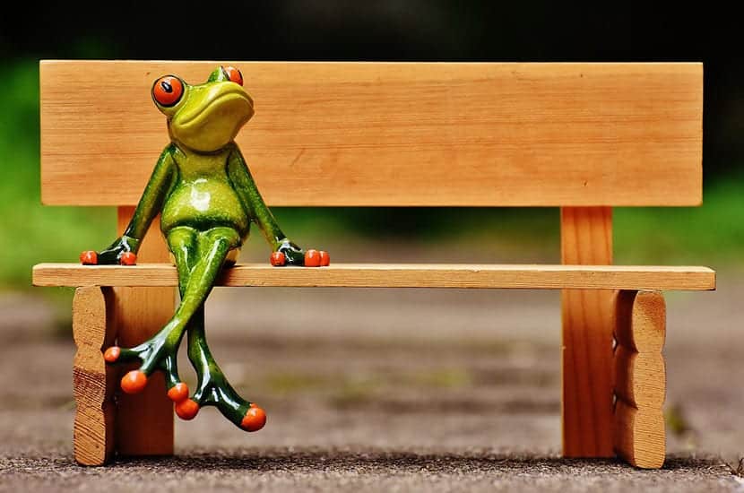 Stuck in life? Don’t be fooled like a frog in a boiling water.